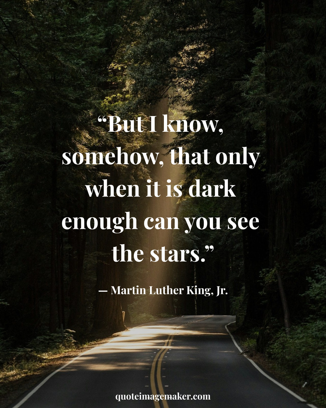"“But I know, somehow, that only when it is dark enough can you see the stars.”" — Martin Luther King, Jr.